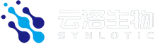 Biotecnología sinlótica （Shanghai） co., Ltd.