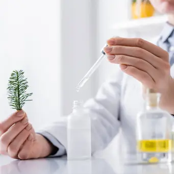 Ingredientes cosméticos