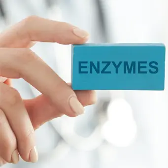 Enzimas