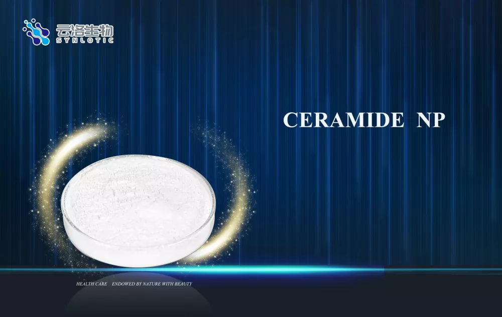 El ingrediente estrella para la reparación de barreras - Ceramide NP