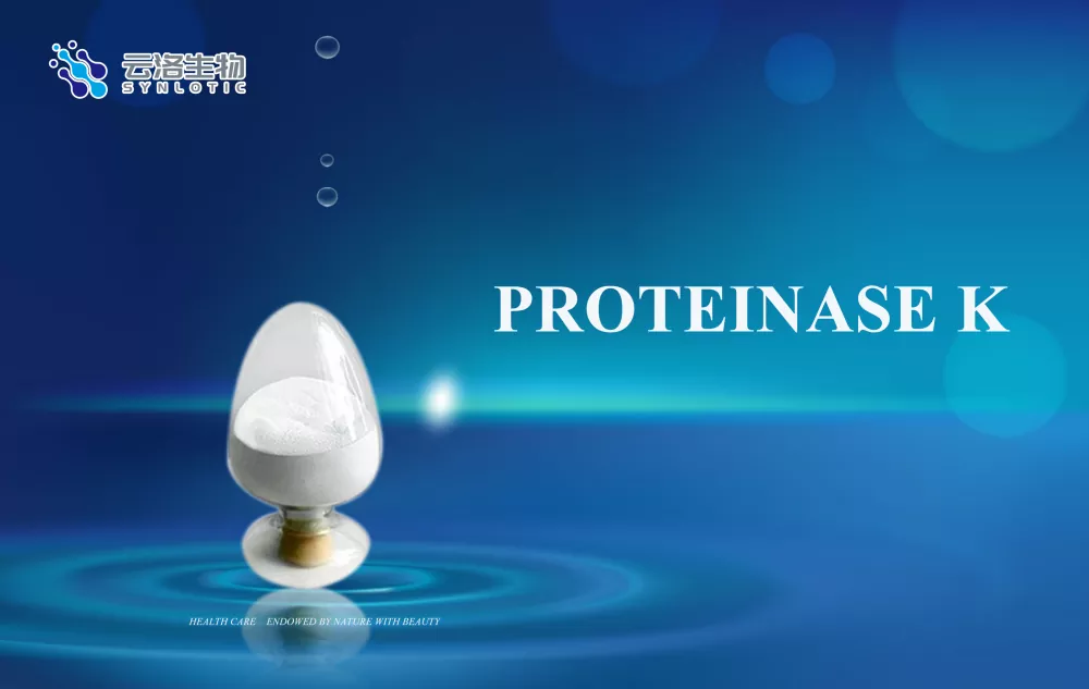 Proteinasa k
