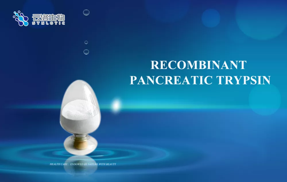 Tripsina pancreática recombinante